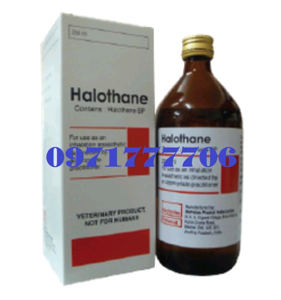 halothane2-1