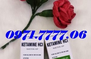 Thuốc Mê Ketamine HCL 1000mg Dạng Xịt Tác Dụng Cực Mạnh
